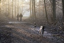 wandelen wandelen