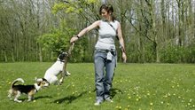 Vrouw met honden in het Bos, fotograaf Johannes Abeling Vrouw met honden in het Bos, fotograaf Johannes Abeling