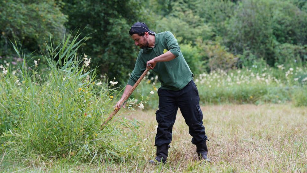 Vrijwilligers Vrijdag in het Bos