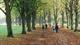 wandelen