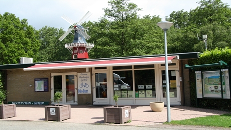 Kamperen Amsterdamse Bos - Bos