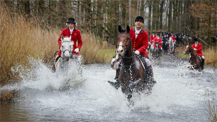 The fox hunt (without fox) in the Amsterdamse Bos