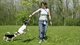 Vrouw met honden in het Bos, fotograaf Johannes Abeling