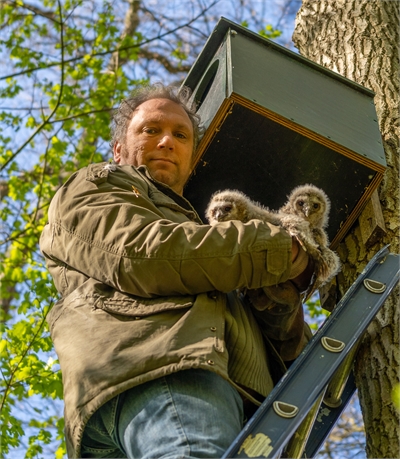 Henk met 2 'takkelingen' bij een uilenkast in het Amsterdamse Bos. Foto: Karin van Rijn.