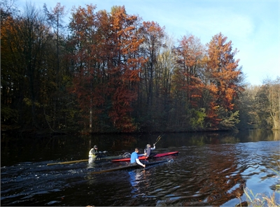 Foto: Moerascipressen langs de waterkant Amsterdamse Bos 17-11-2019, Wouter van der Wulp.