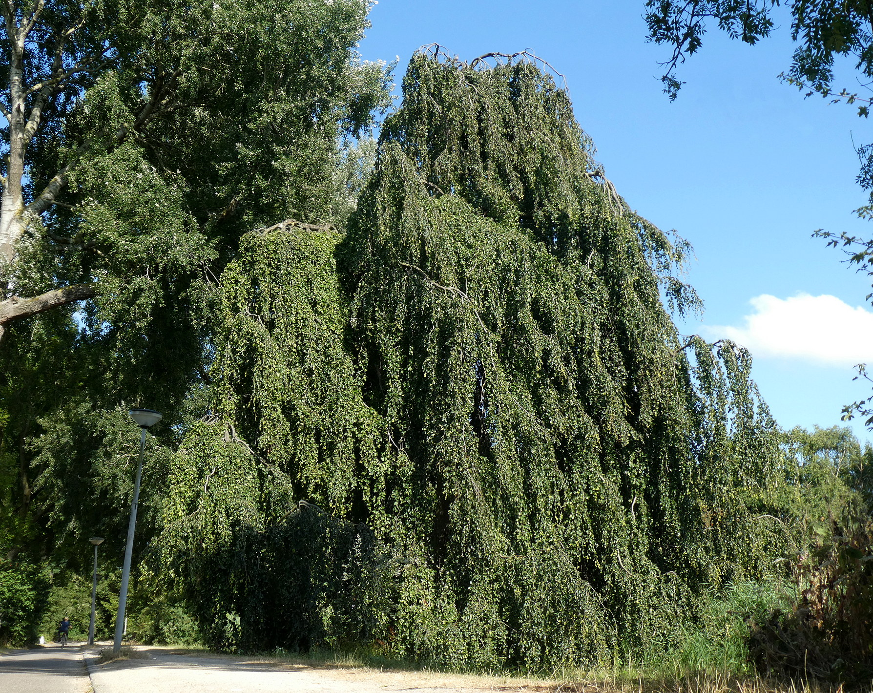 Treurbeuk Sportpark, foto: Wouter van der Wulp.