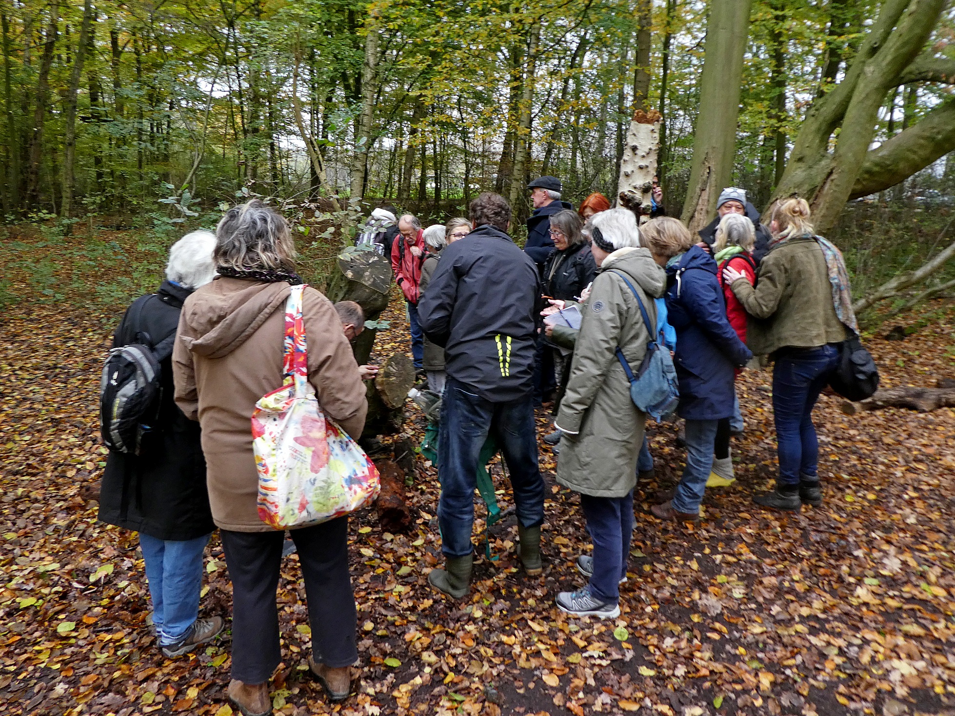 De jaarlijkse paddenstoelenexcursie van de zwammologen van Amsterdamse KNNV.