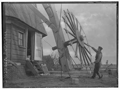 Arie Verhaar zet de Koenenmolen op de wind ongeveer 1910 (met hond en kat)
